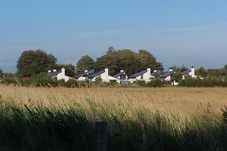 1A-Lage Dünengebiet Egmond-Binnen