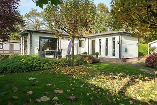 Het Groene Kwadrant nr 46