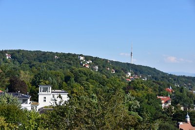 Belvedere Dresde-Loschwitz