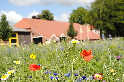 Groepsaccommodatie Blauwestadhoeve