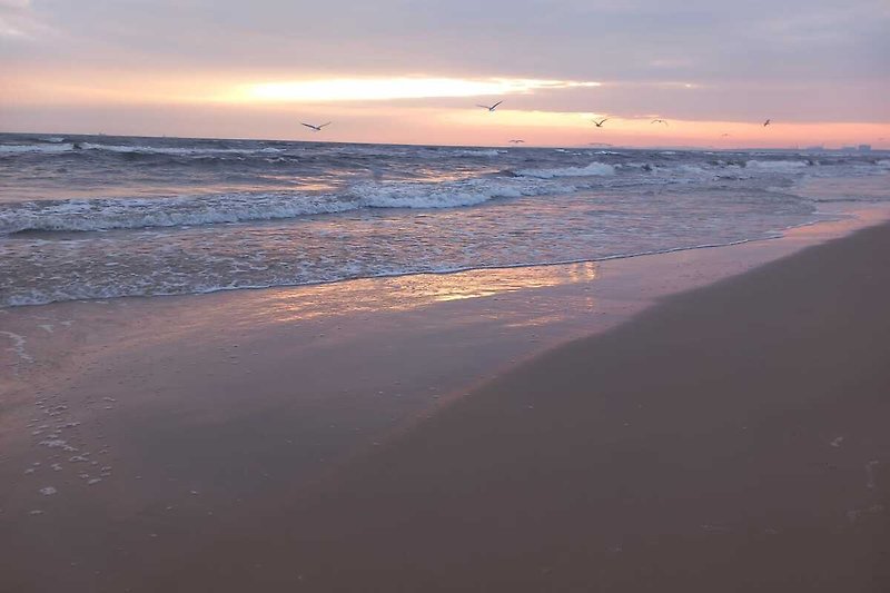 Strand, Sonnenaufgang, Meer, Horizont,