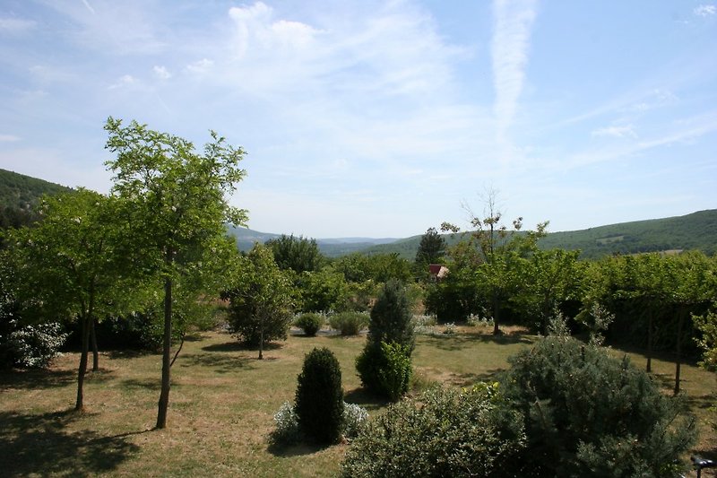 Partial view of the garden facing south