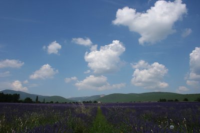 La colorée