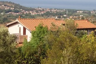 Maison de vacances colline d'oliviers