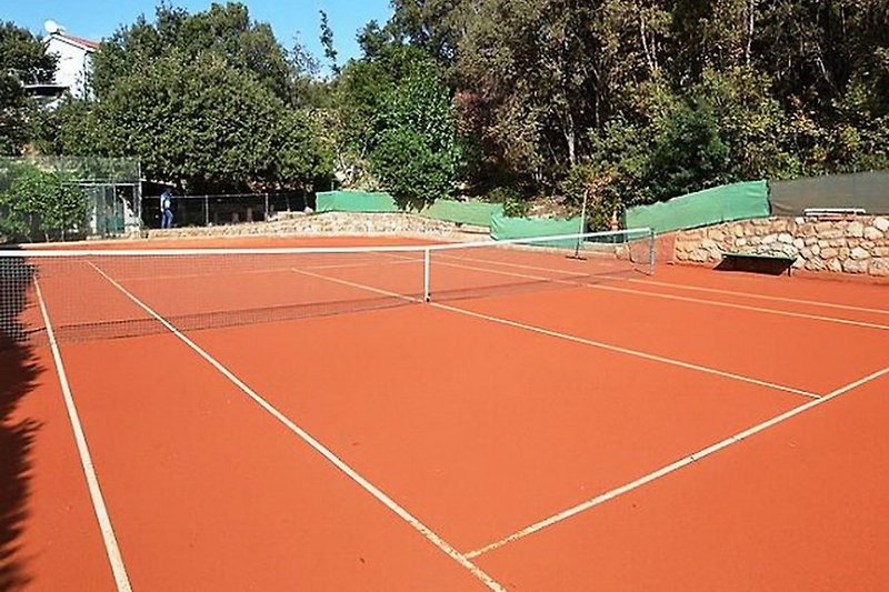 Basen i Tenis