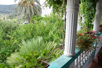 HAUS MEL direkt am Meer