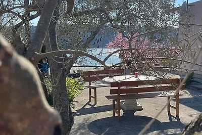 Ferienhaus zur Allennutzung am Meer