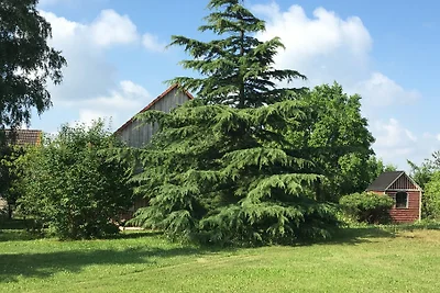 Giardino delle vacanze Koch - Uckermark