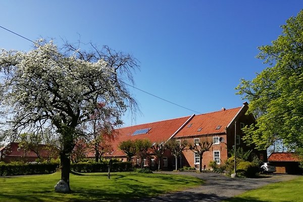 Ferienhäuser & Ferienwohnungen in Dornum ab 38 € mieten