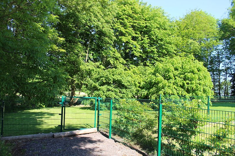 Hundeplatz 