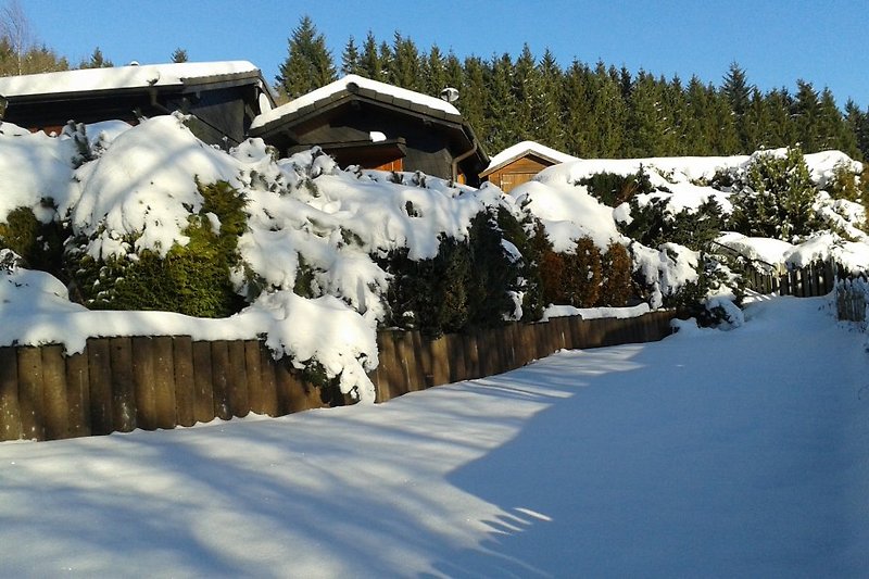 Woodland Lodge in Winter, Gartenansicht