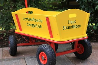 HAUS STRANDLEBEN...mit Strandkorb*