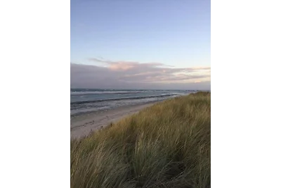 Friesengut Langeoog