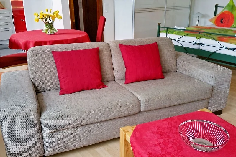 Woonkamer met slaapbank voor een extra gast