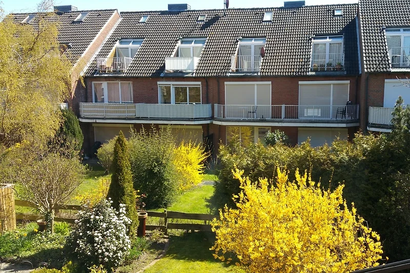 Onze tuin in de lente