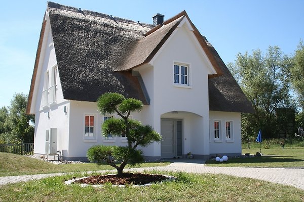 Ferienhaus Rerik