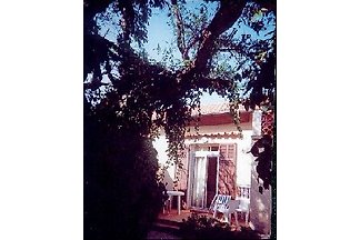 Villa Chanterelle F1