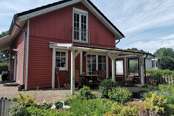 Ferienhaus Dümmer