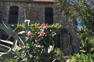 Casa Arzt