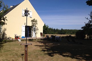 Lifestyle Natur in Meeresnähe