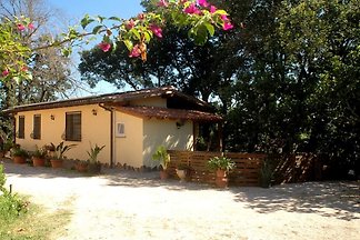 Domus Angelos