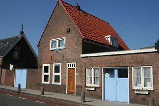 Bulbs Schuppen Meer
