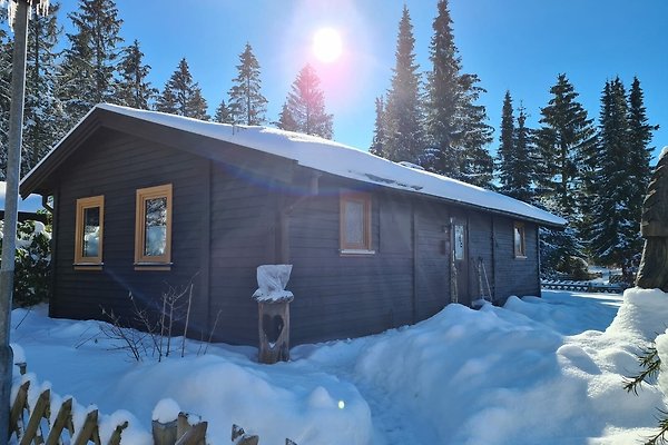 Ferienhaus Clausthal-Zellerfeld
