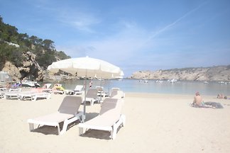 Amara 24