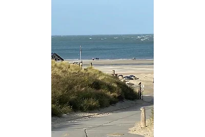 De Zeester