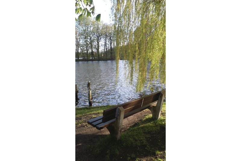 an der Uferpromenade