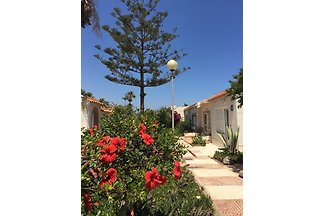 Club Tropicana Strand Bungalow