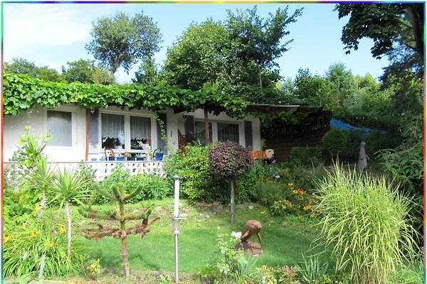 Ferienwohnung Ahlbeck