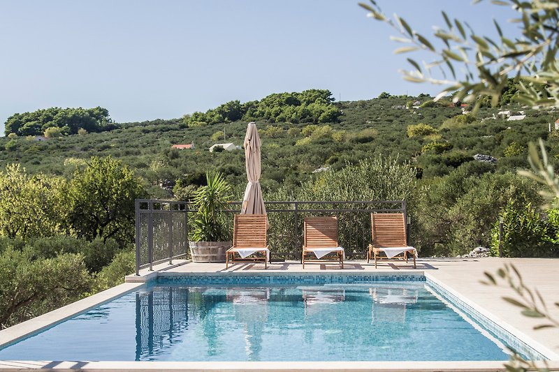 Luxuriöser Pool mit Palmen und üppiger Gartenlandschaft.