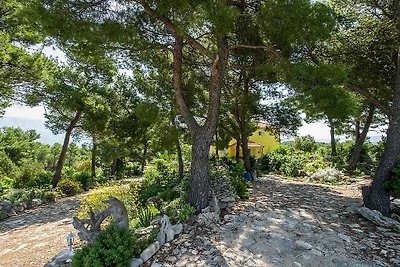 Strandapartments, 50 Meter