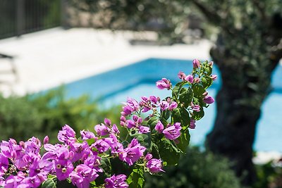 Vecchia casa ristrutturata, piscina