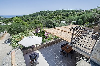 Vecchia casa ristrutturata, piscina