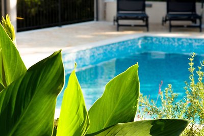 Vecchia casa ristrutturata, piscina