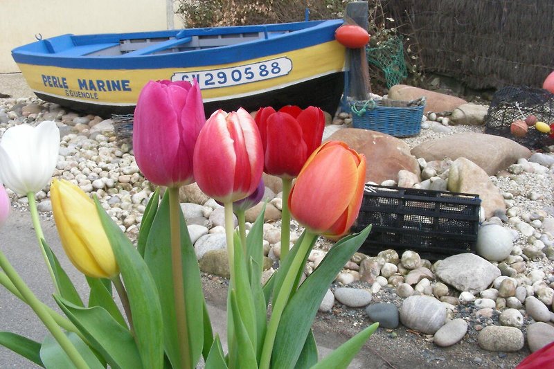 Une maison avec jardin fleuri et barque