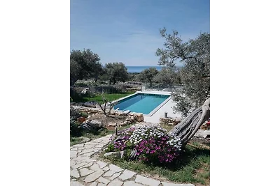 Erleben Sie die Villa Kadila – beheizter Pool & Sauna in einem zeitlosen Olivenhain