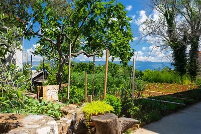 Apartment Roko mit privatem Pool