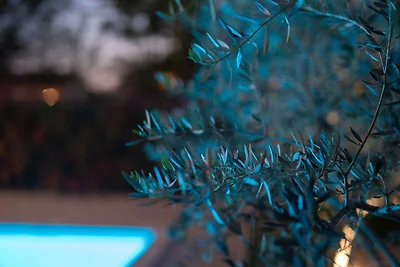 Villa Vista mit Pool und Meerblick