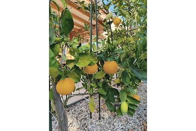 Ferienwohnung Taja mit Whirlpool