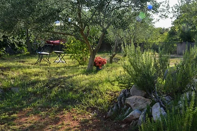 Appartamento Oliva con piscina privata