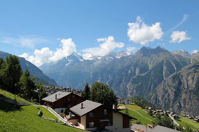 Sommer in den Schweizer Bergen
