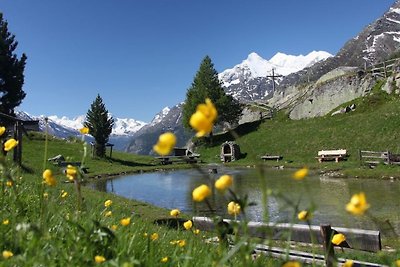 Verano en las montañas suizas