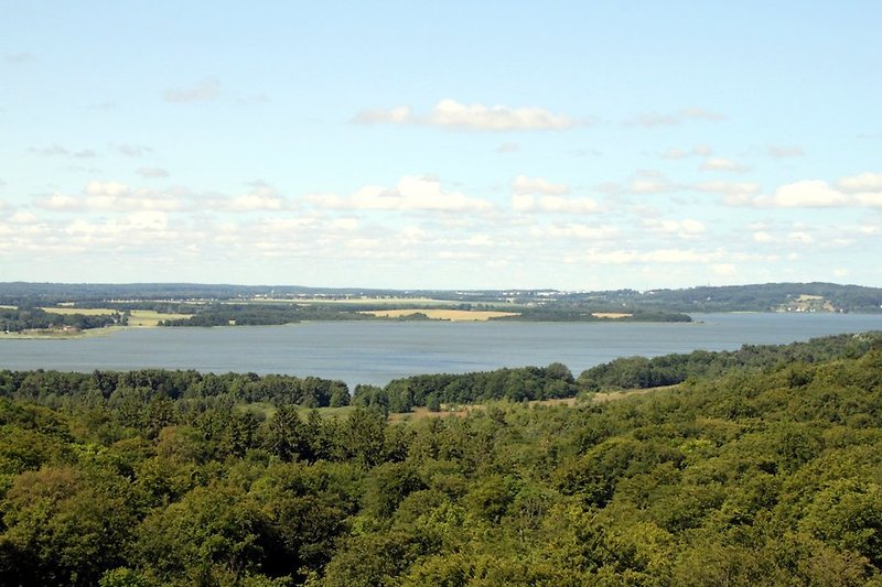 Betoverend uitzicht over Rügen vanaf het boomtoppenpad Natuurerfgoed