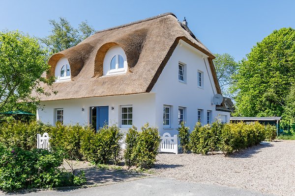 Ferienhaus Schönberg-Kalifornien