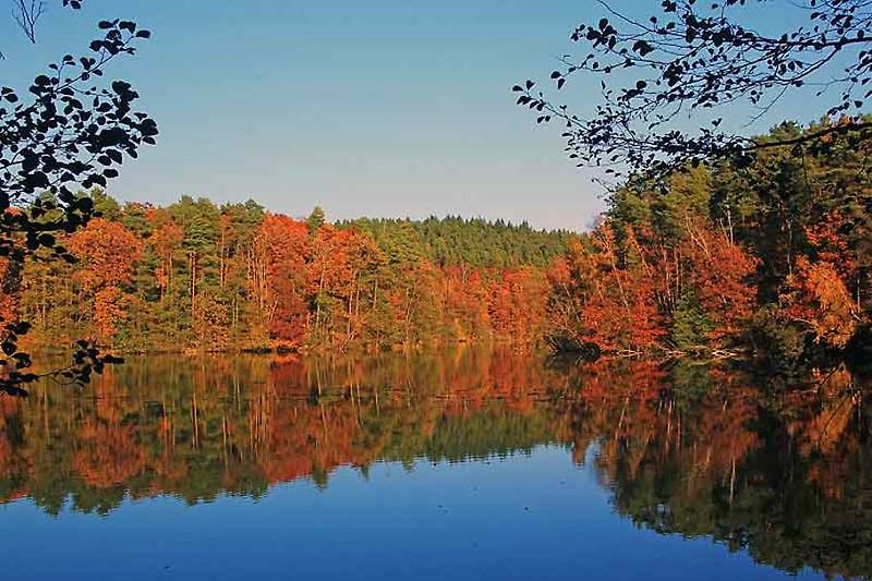 Herbst am See (Gastfoto Behmüller/Bitzker)