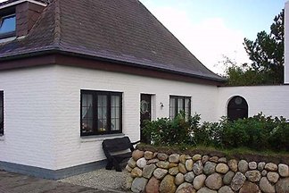Kiekin-Kiekut