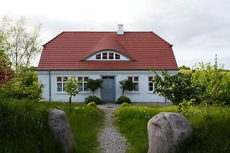 Wiesenblick